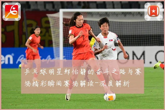 乒乓球明星郑怡静的奋斗之路与赛场精彩瞬间赛场解读-深度解析