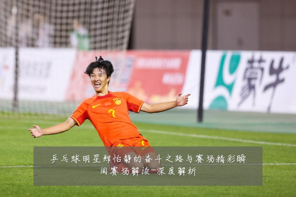 乒乓球明星郑怡静的奋斗之路与赛场精彩瞬间赛场解读-深度解析