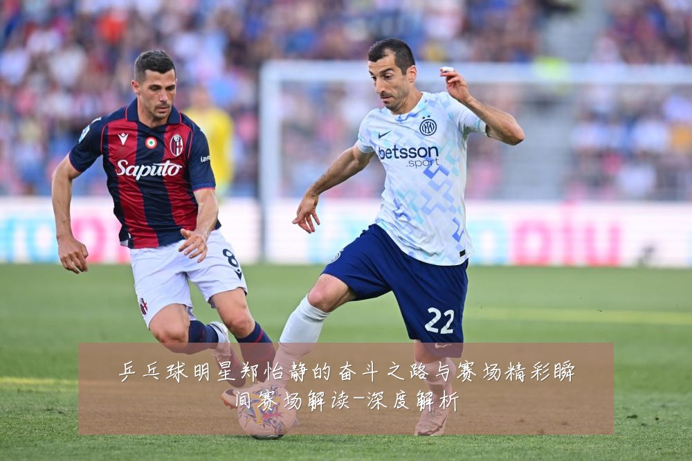 乒乓球明星郑怡静的奋斗之路与赛场精彩瞬间赛场解读-深度解析